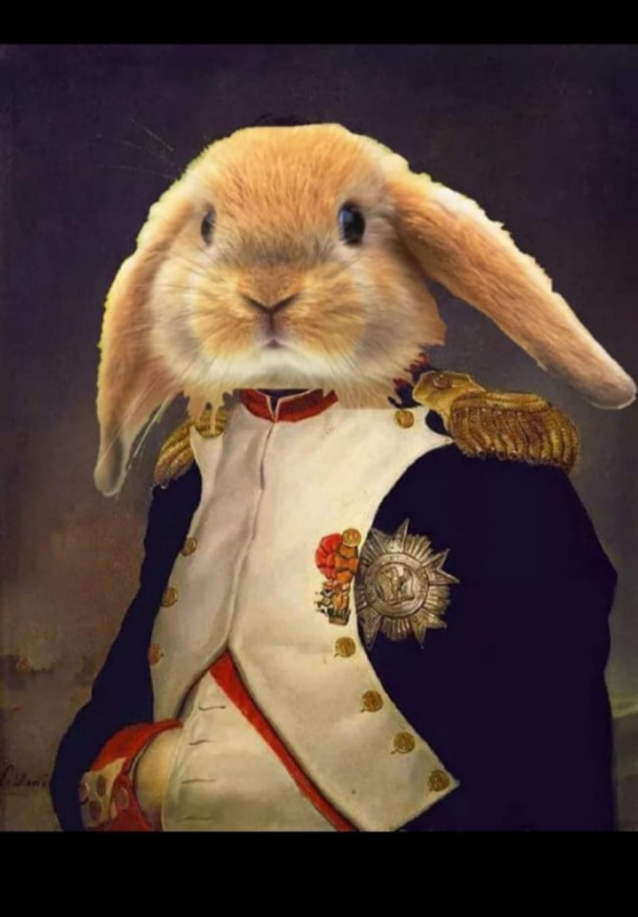 ⚔️🐰 NAPOLEÓN Y LA BATALLA DE LOS CONEJOS 🐰⚔️